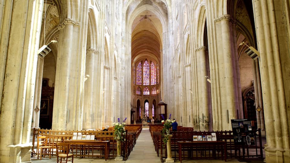 Tours Cathedral which includes a church or cathedral, heritage elements and heritage architecture