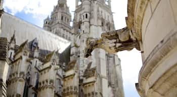 Cathédrale de Tours mettant en vedette patrimoine historique et patrimoine architectural