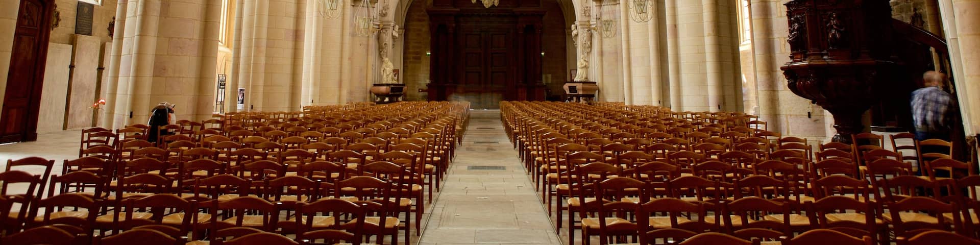 Dijon Cathedral which includes heritage elements, interior views and a church or cathedral