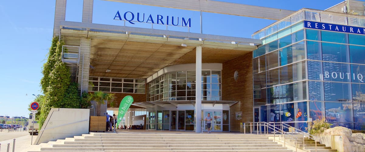 Aquarium La Rochelle which includes marine life