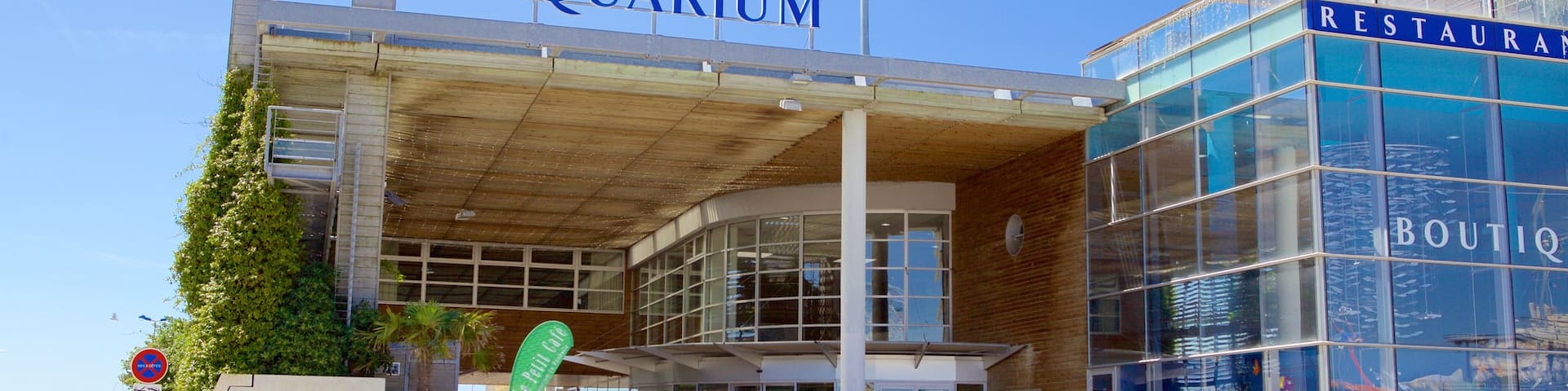 Aquarium La Rochelle mettant en vedette vie marine
