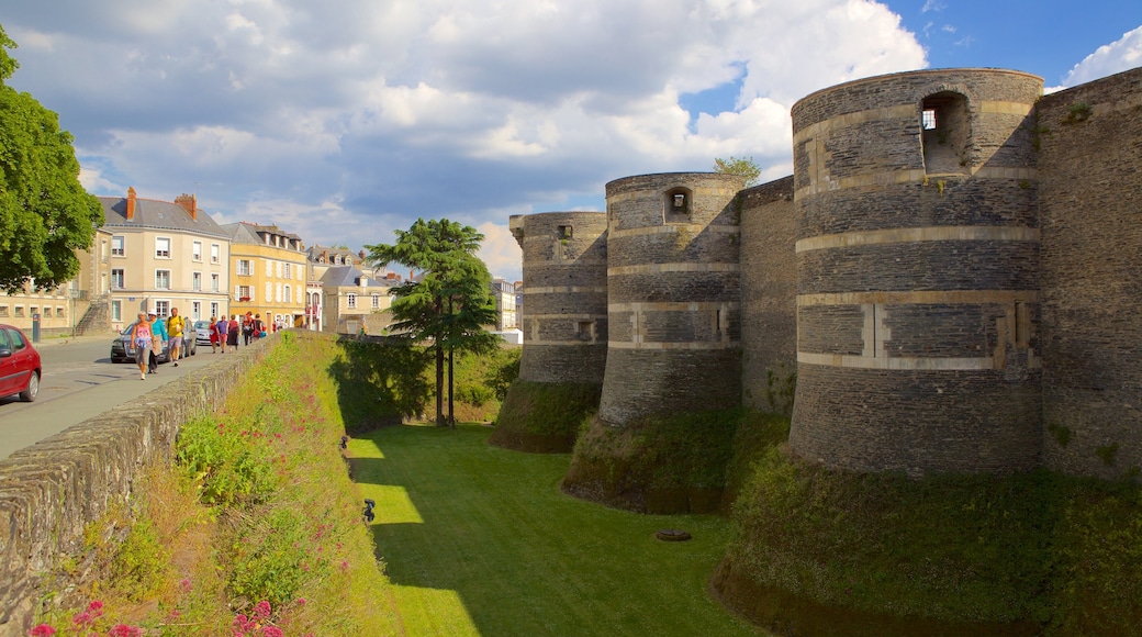 Chateau d\'Angers showing a park and heritage elements