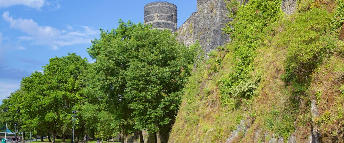 Chateau d\'Angers featuring a garden and heritage elements