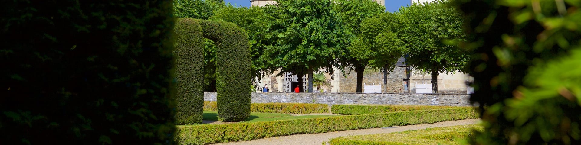 Chateau d\'Angers showing heritage elements and a park