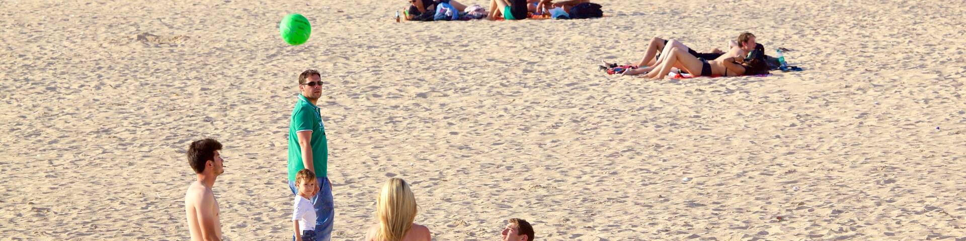 Plage des Minimes qui includes plage aussi bien que petit groupe de personnes