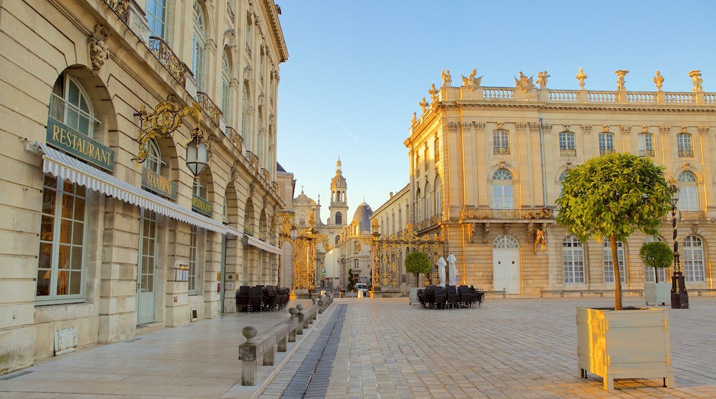 Nancy Hotel de Ville featuring vanha arkkitehtuuri, tori ja perintökohteet