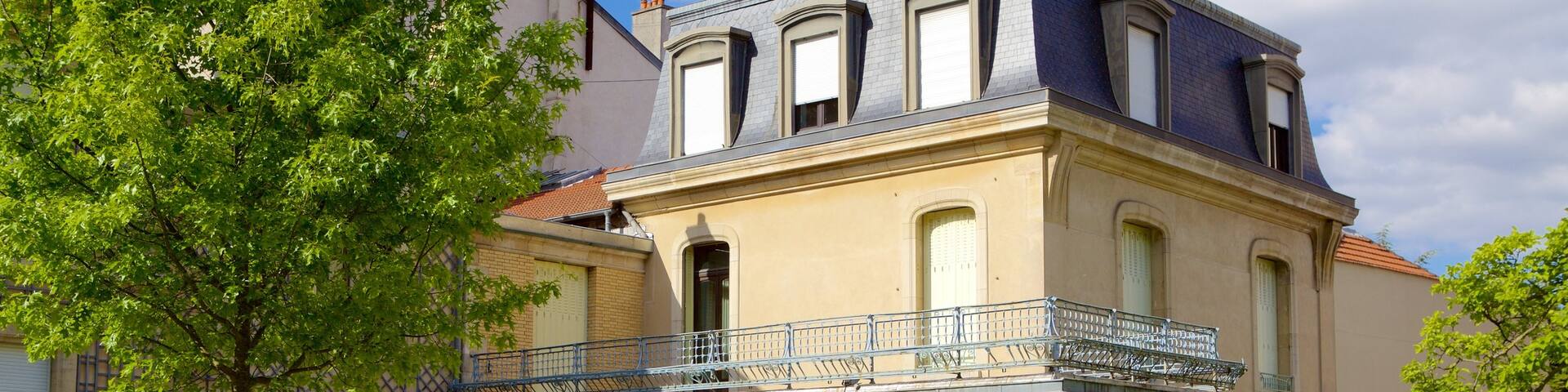 Musee de l\'Ecole de Nancy which includes a park