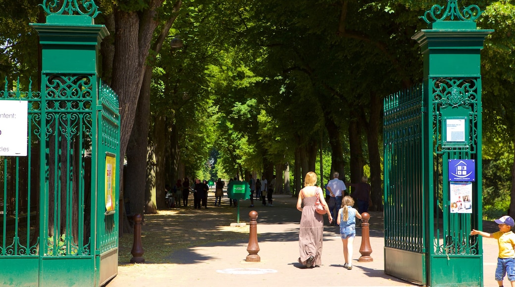 苗圃公園 其中包括 公園 以及 一個家庭