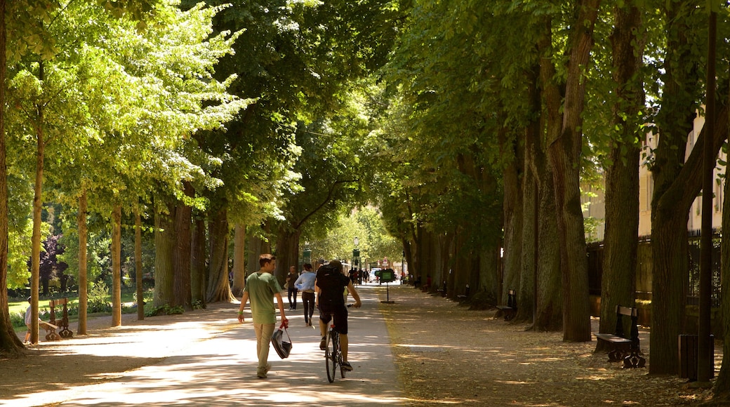 Parc de la Pepiniere showing a park