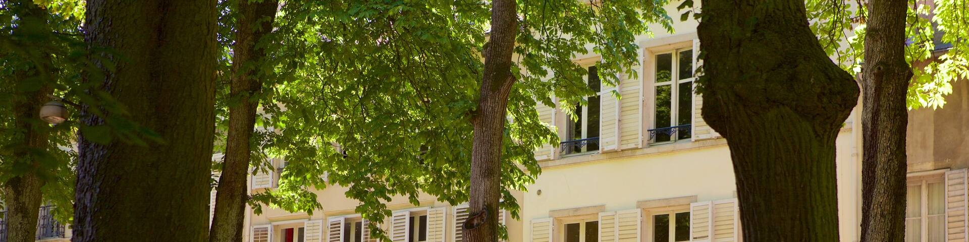 Parc de la Pepiniere which includes a garden as well as an individual female