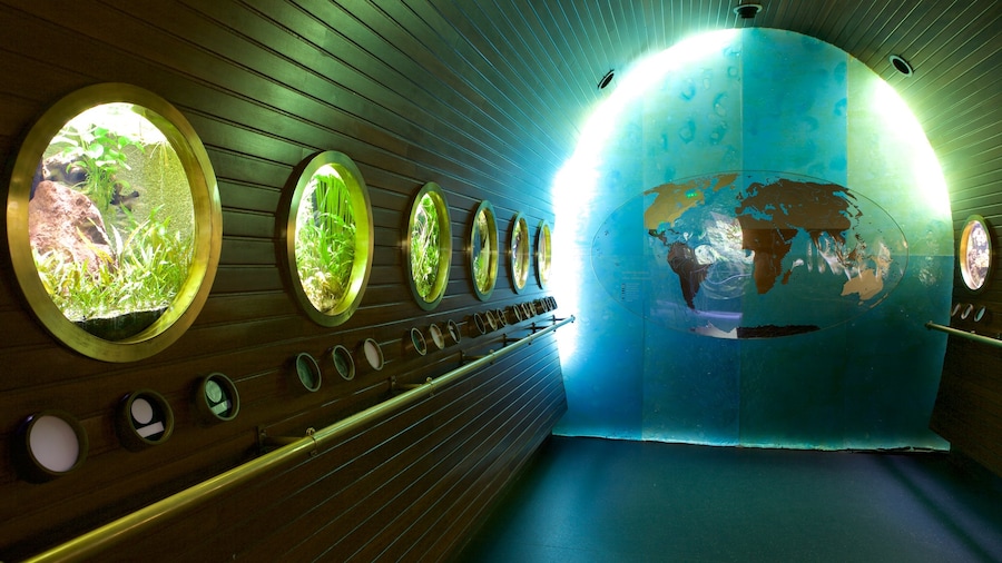 Naturkundemuseum und Aquarium von Nancy