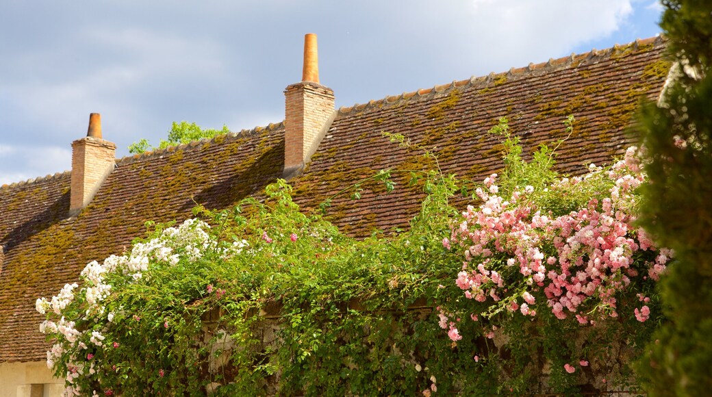 Prieuré de Saint-Cosme montrant fleurs