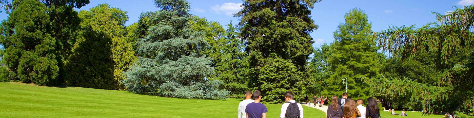 Thabor Botanic Gardens which includes a garden as well as a small group of people