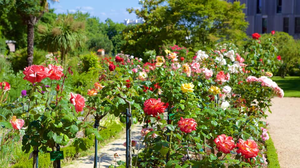 Parc du Thabor qui includes fleurs et parc