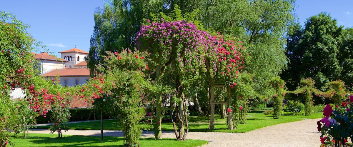 Parc du Thabor qui includes jardin