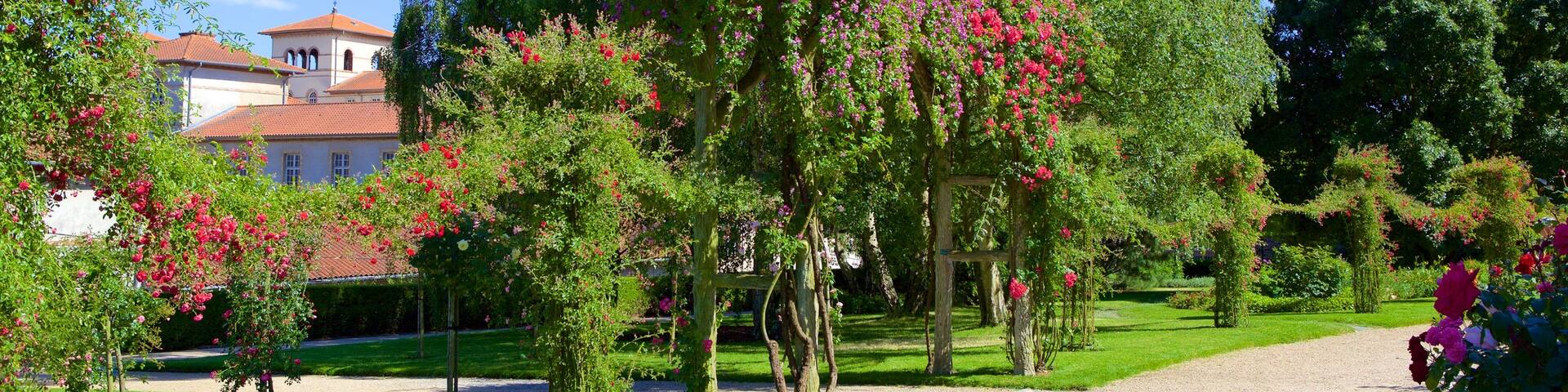 Thabor Botanic Gardens which includes a garden