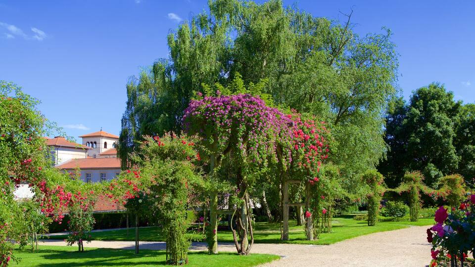 Parc du Thabor qui includes jardin