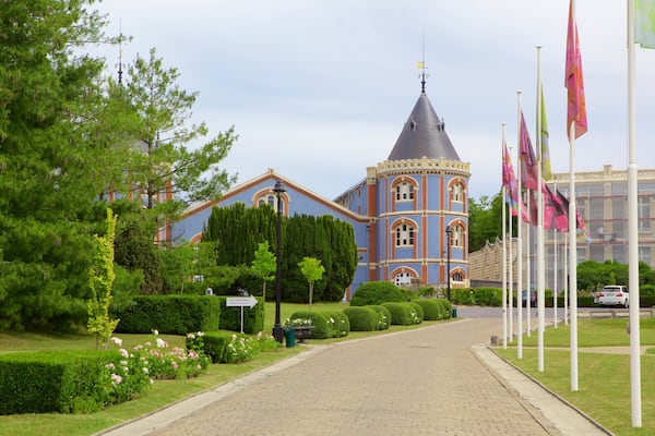 Reims showing a garden and heritage elements
