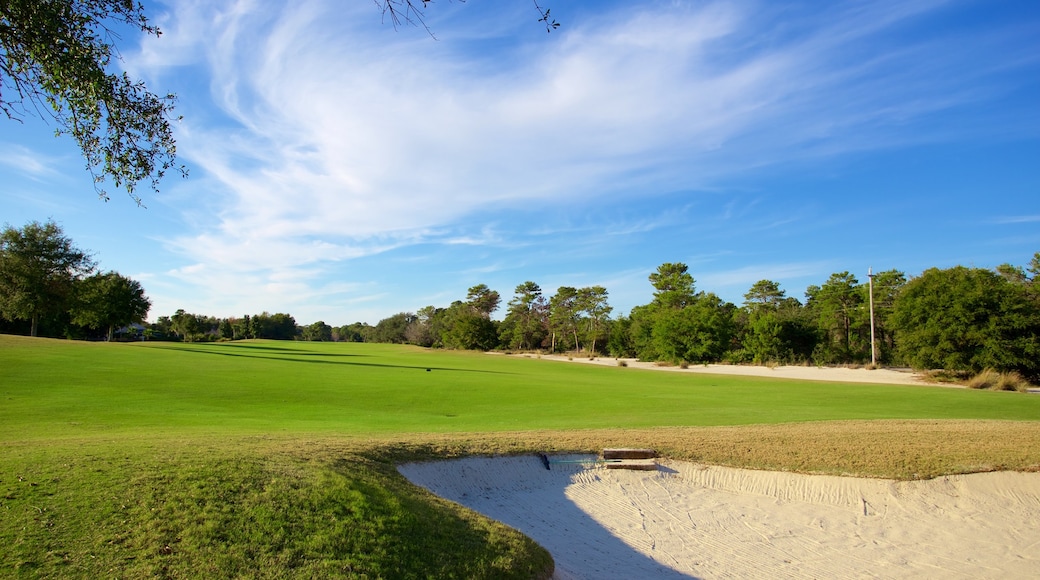 Upper Grand Lagoon mostrando golf