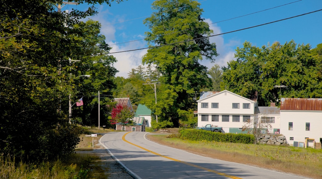 Stoneham mostrando una pequeña ciudad o aldea