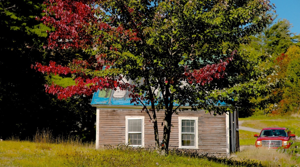 Stoneham featuring a house and tranquil scenes