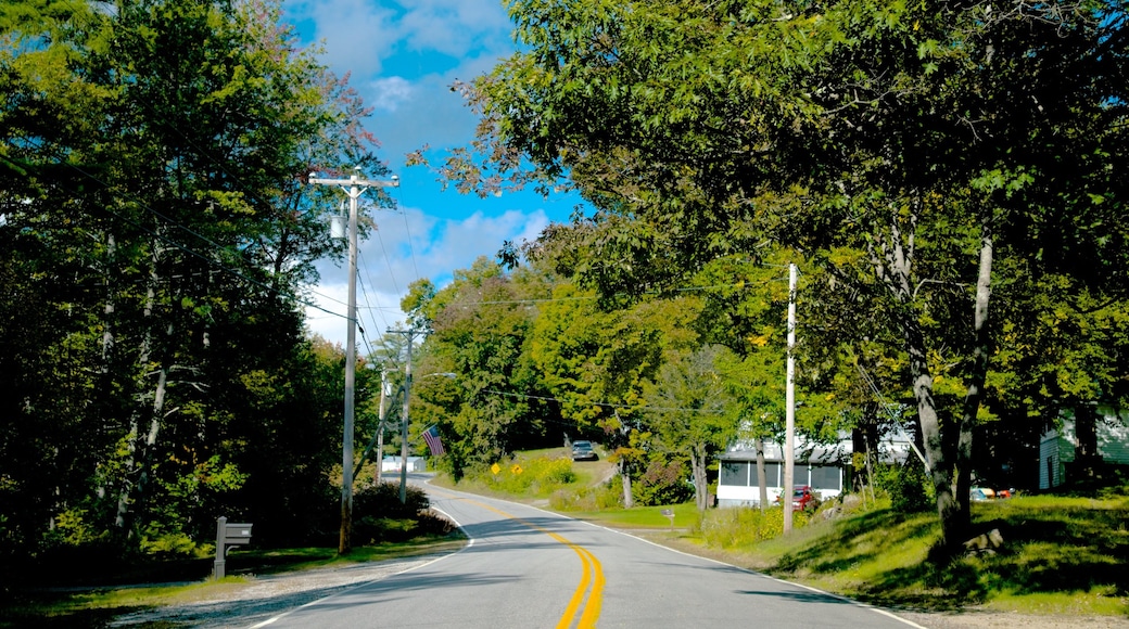 Stoneham showing a small town or village