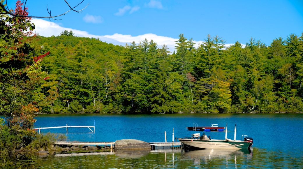 Stoneham che include paesaggio forestale, lago o sorgente d\'acqua e giro in barca