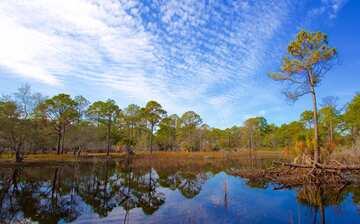 St Andrews State Park In Florida Expedia St Andrews State Park In Florida Expedia