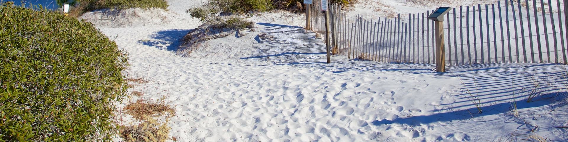 Grayton Beach das einen Strand