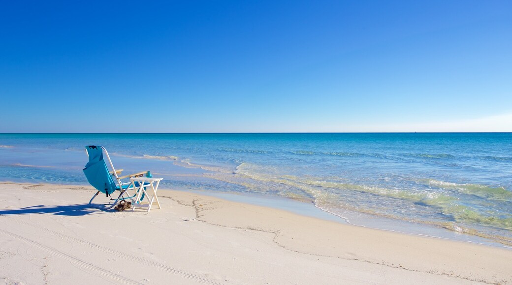 Grayton Beach State Park which includes a beach