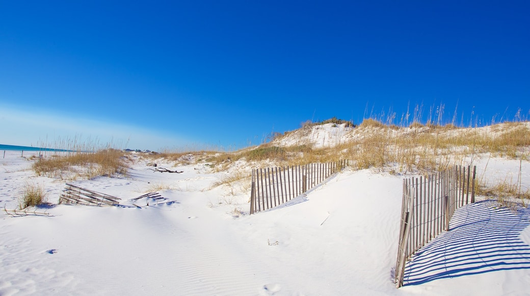 Grayton Beach showing a beach