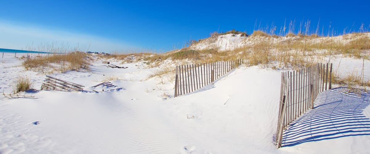 Grayton Beach State Park showing a beach