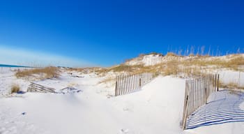 Grayton Beach State Park showing a sandy beach