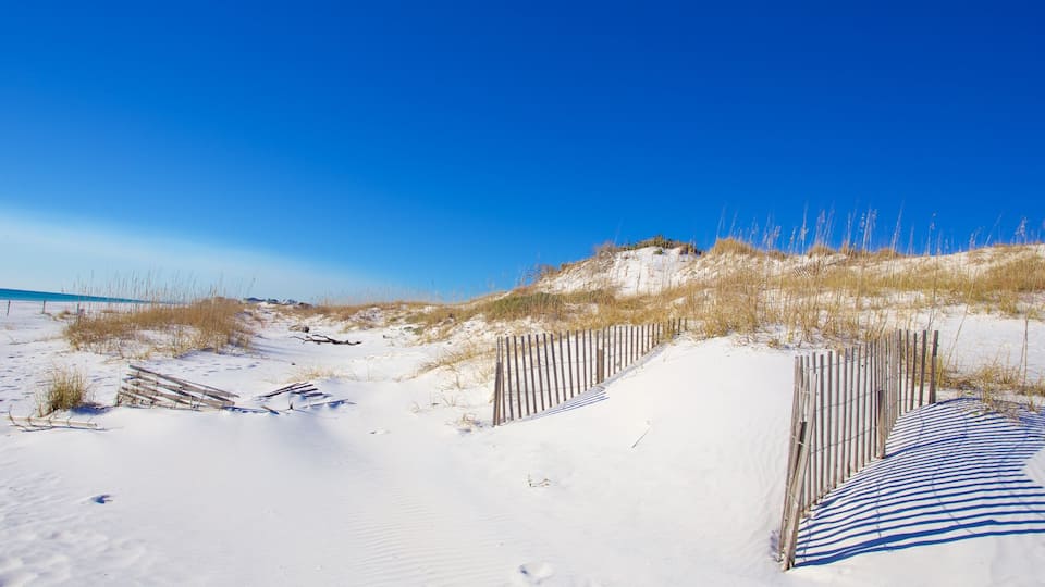 Grayton Beach showing a beach