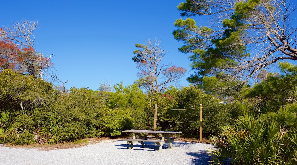 Henderson Beach State Park featuring a garden