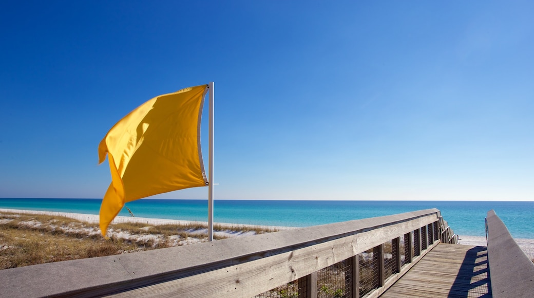 Henderson Beach State Park featuring a beach