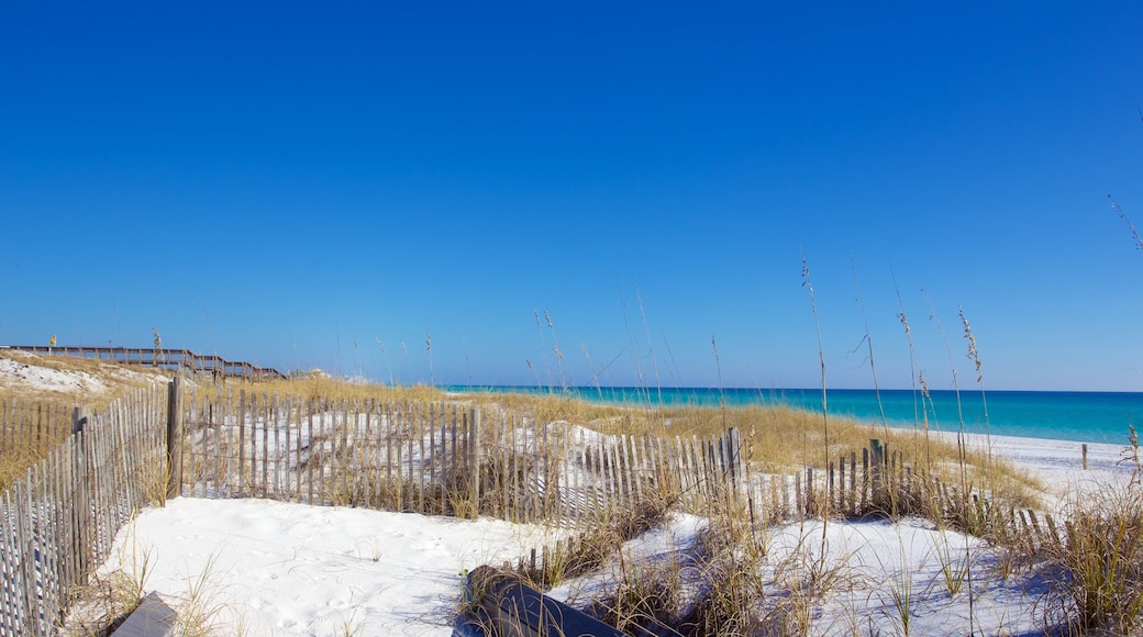 Henderson Beach State Park showing tranquil scenes and a sandy beach