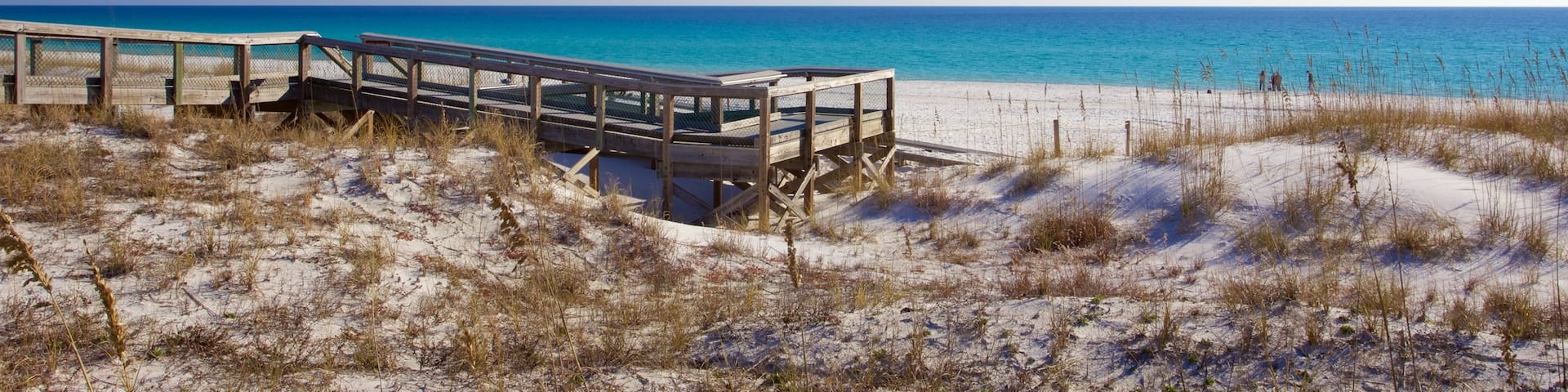 Henderson Beach State Park featuring a sandy beach and tranquil scenes