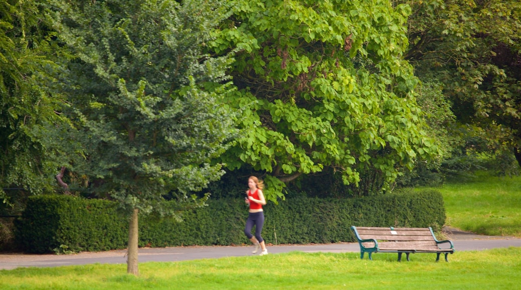 Preston Park showing a park as well as an individual femail