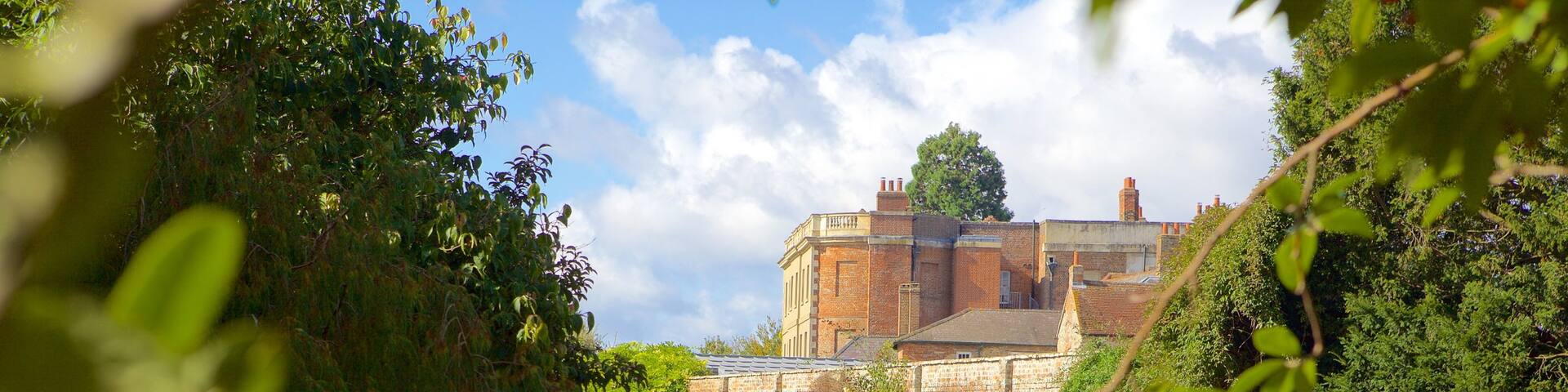 Oxfordshire showing a garden and flowers