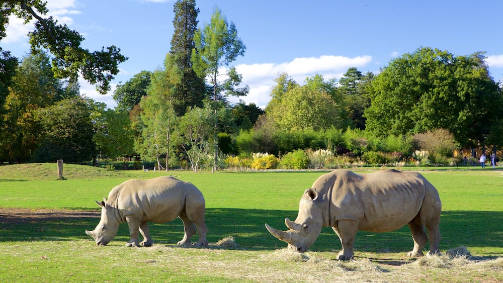 Oxfordshire which includes zoo animals and dangerous animals