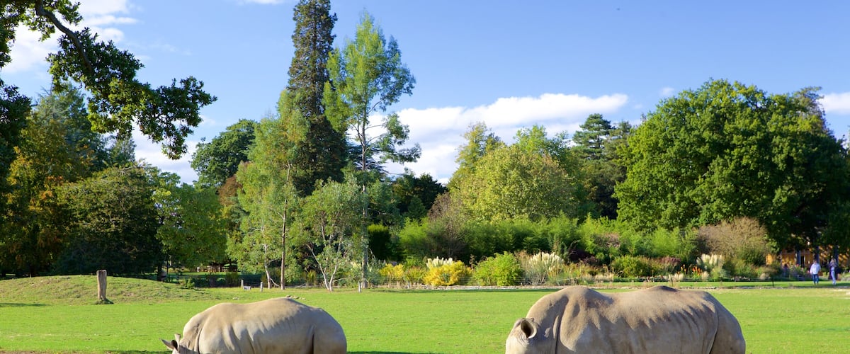 Oxfordshire which includes zoo animals and dangerous animals