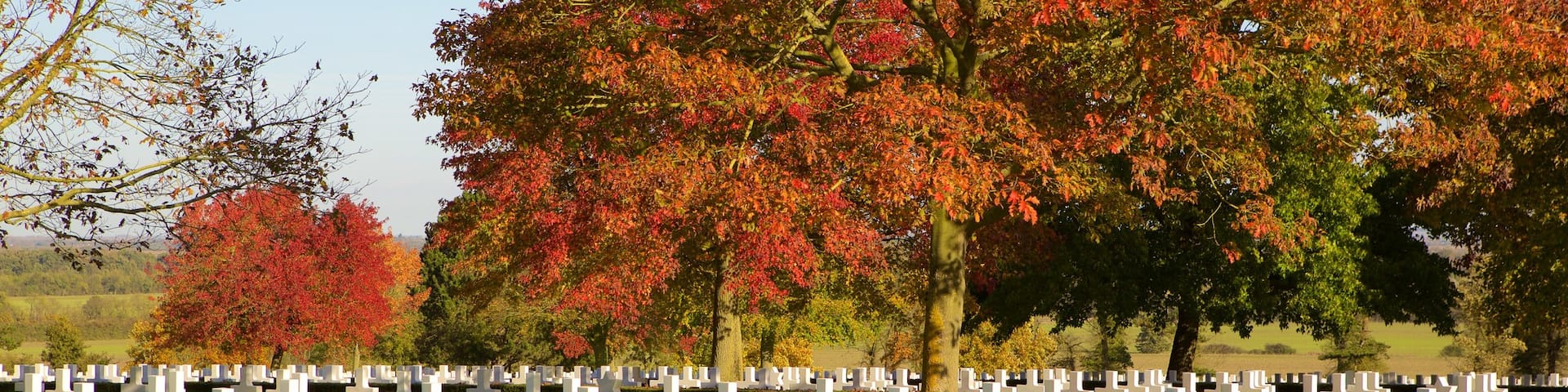Cambridge American Cemetery and Memorial showing a cemetery
