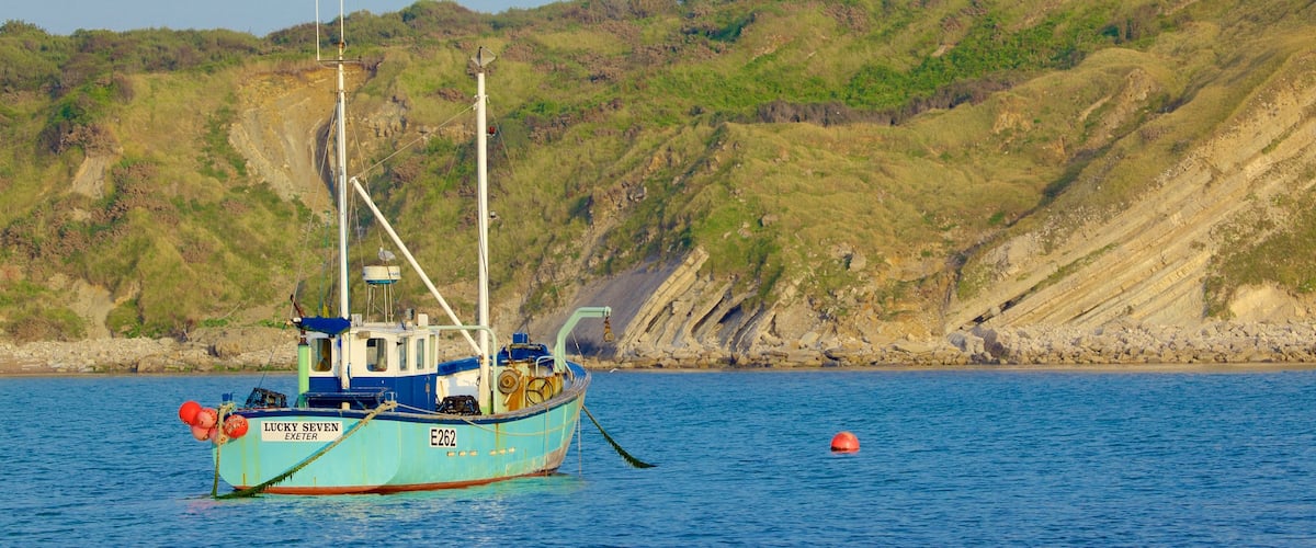 Lulworth Cove Beach mostrando embarcaciones y litoral rocoso