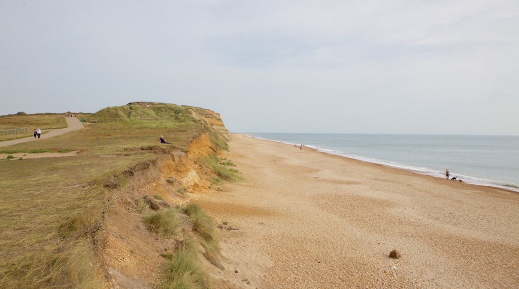 Hengistbury Head welches beinhaltet ruhige Szenerie und Steinstrand