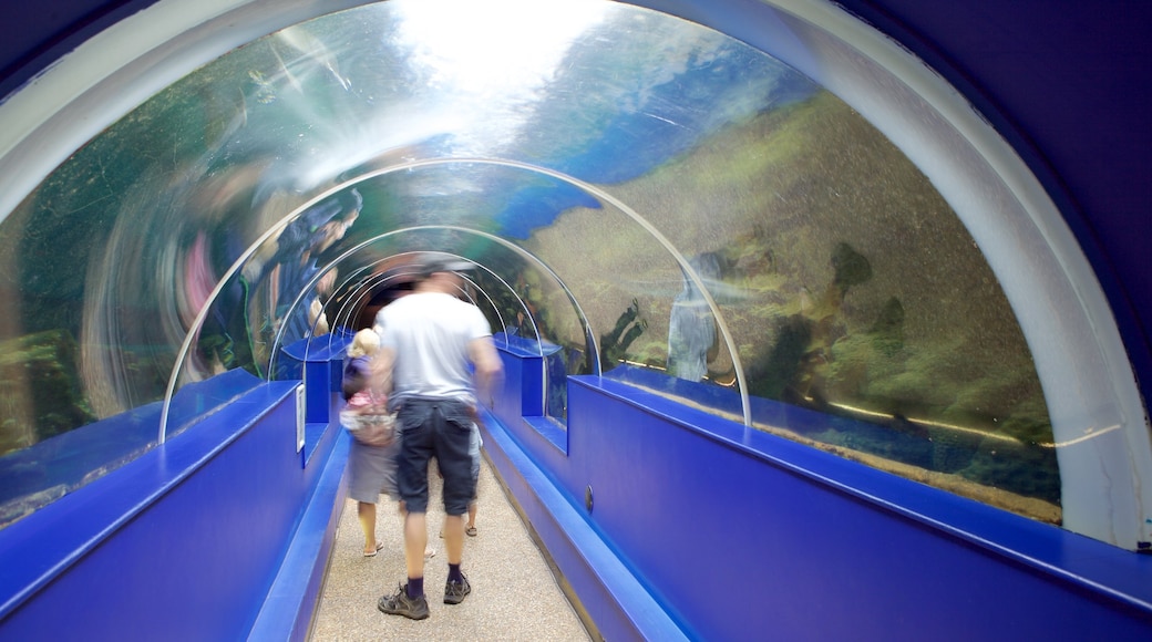海洋水族馆