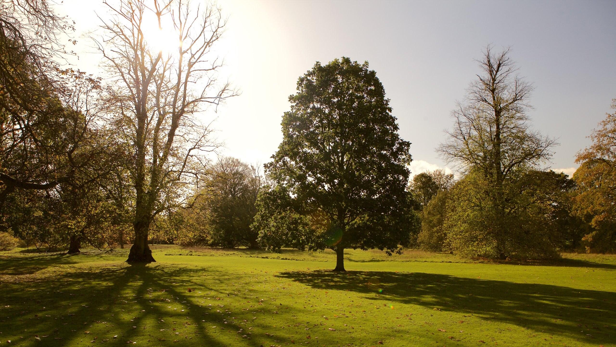 Anglesey Abbey johon kuuluu puutarha
