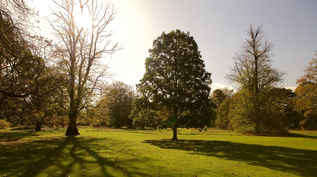 Anglesey Abbey which includes a garden