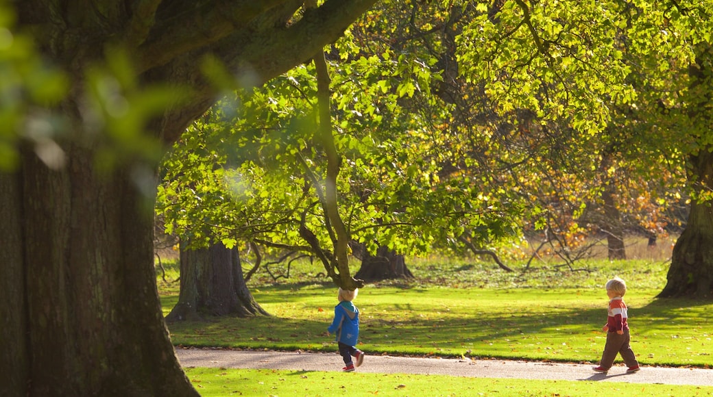 Anglesey Abbey featuring a garden as well as children