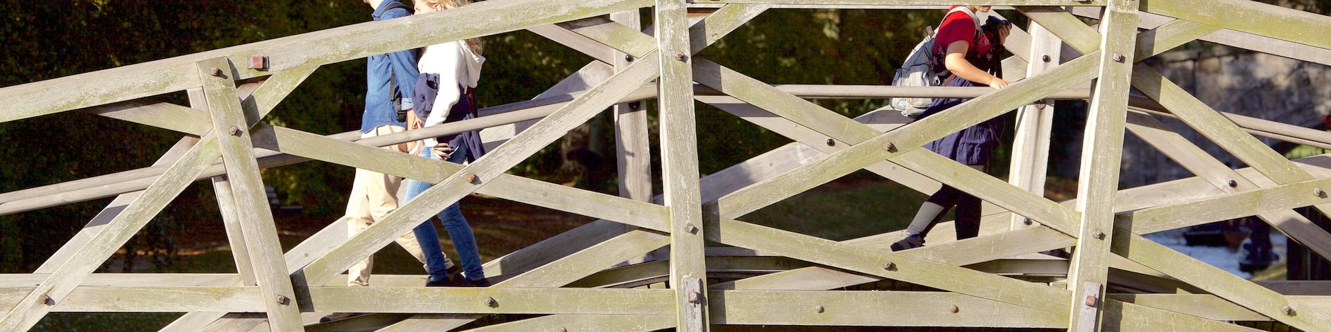 Mathematical Bridge which includes a bridge as well as a small group of people